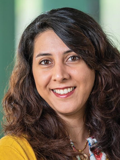 Elaheh Ahmadi 