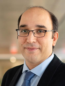 Hessam Mahdavifar